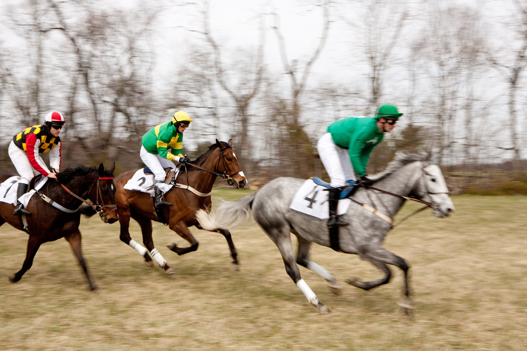 point to point horses racing for washington dc editorial photography
