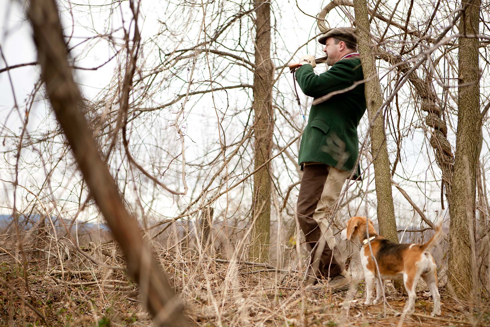 beagling huntsman calling hounds for washington dc editorial photography