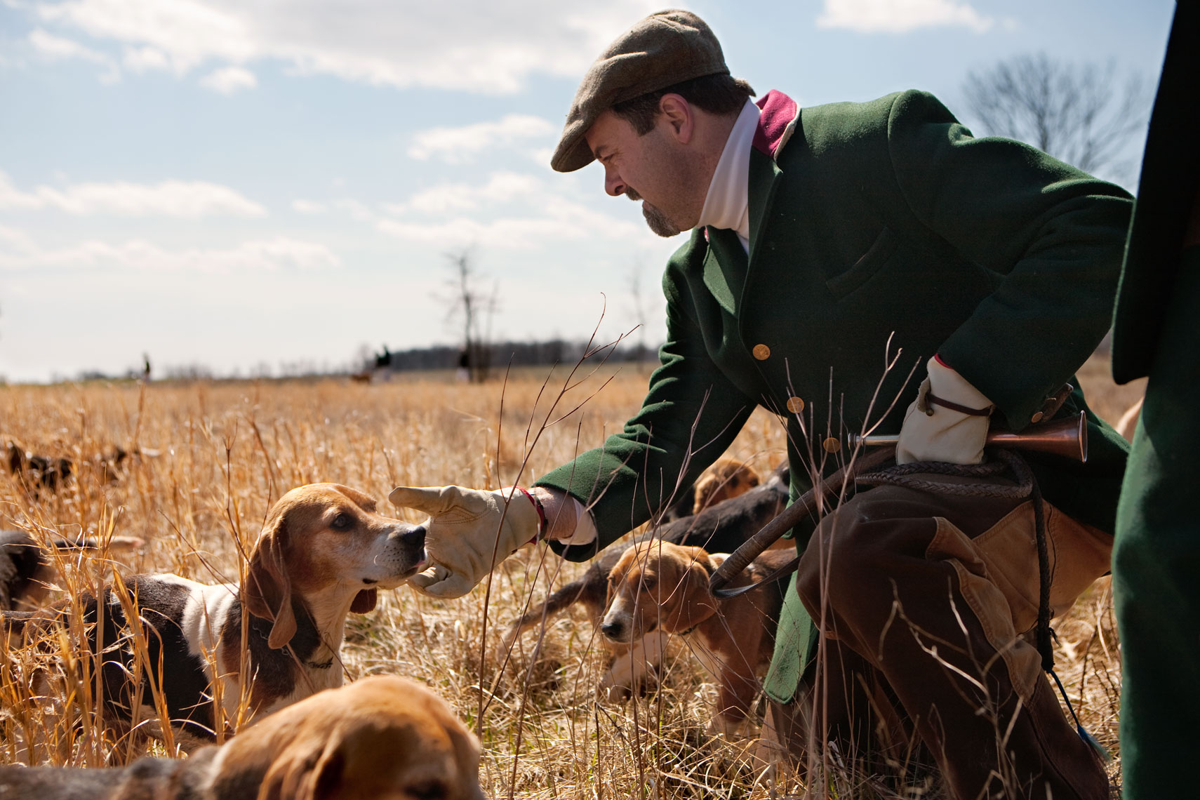beagling huntsman touching hound for washington dc editorial photography
